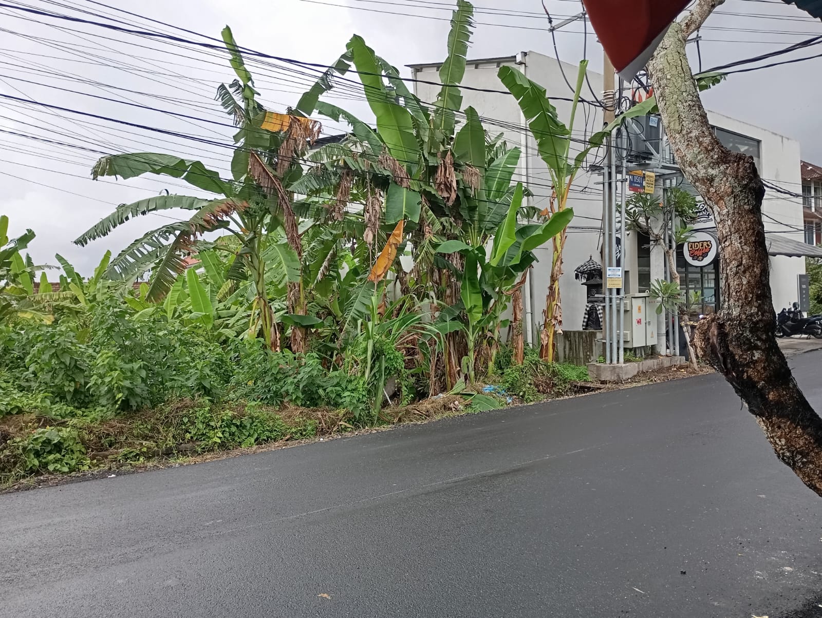 sewa Tanah di pererenan